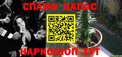 прущие грибы Бугуруслан