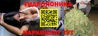 прущие грибы Бугуруслан