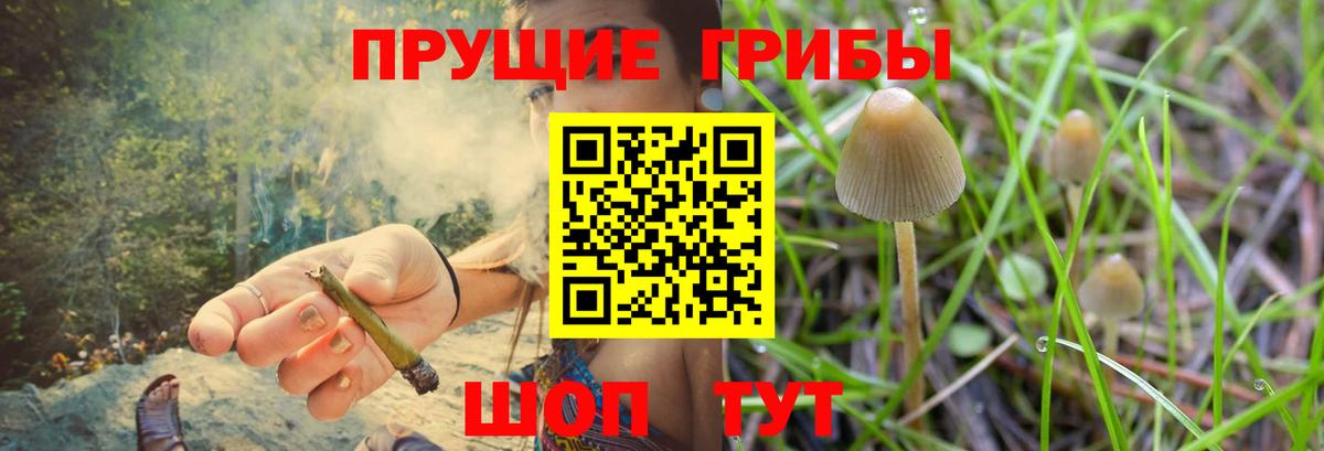 Псилоцибиновые грибы Psilocybe  Вход с VPN  Кушва  Псилоцибиновые грибы MAGIC MUSHROOMS 